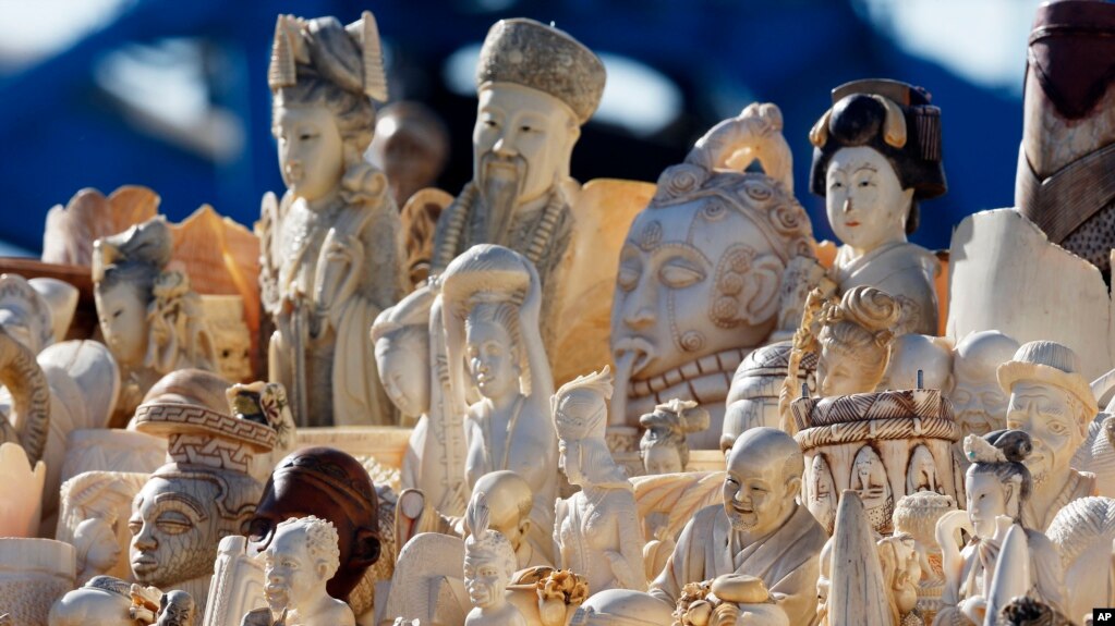 FILE - Confiscated ivory is stacked for crushing at the National Wildlife Property Repository at Rocky Mountain Arsenal National Wildlife Refuge in Commerce City, Colorado, Nov. 14, 2013.