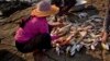 ငါးမြစ်ချင်းတင်ပို့မှု ဆော်ဒီဆိုင်းငံ့မှုကြောင့် မြန်မာ့ငါးလုပ်ငန်း အထိနာ
