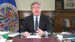 Secretario General de la OEA pide apoyar consulta popular en Venezuela