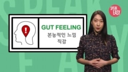 [Speak Easy] 직감 'gut feeling'