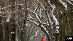 Una mujer camina entre la nieve cerca el Parque Central de Nueva York el 11 de febrero de 2021.