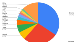 Ethiopia ethnic groups chart (source: 2007 Ethiopian census)