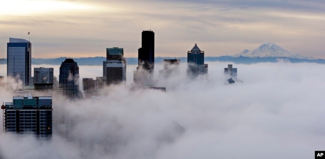 Downtown buildings rise above a low-level morning fog as Mount Rainier is seen some 80 miles distant, Jan. 9, 2015, in this view from atop the Space Needle in Seattle.