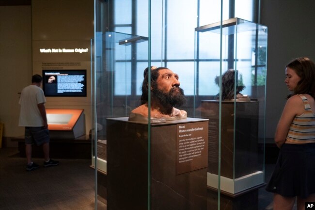 FILE - People visit exhibits inside the Smithsonian Hall of Human Origins, Thursday, July 20, 2023, at the Smithsonian Museum of Natural History in Washington. (AP Photo/Jacquelyn Martin)