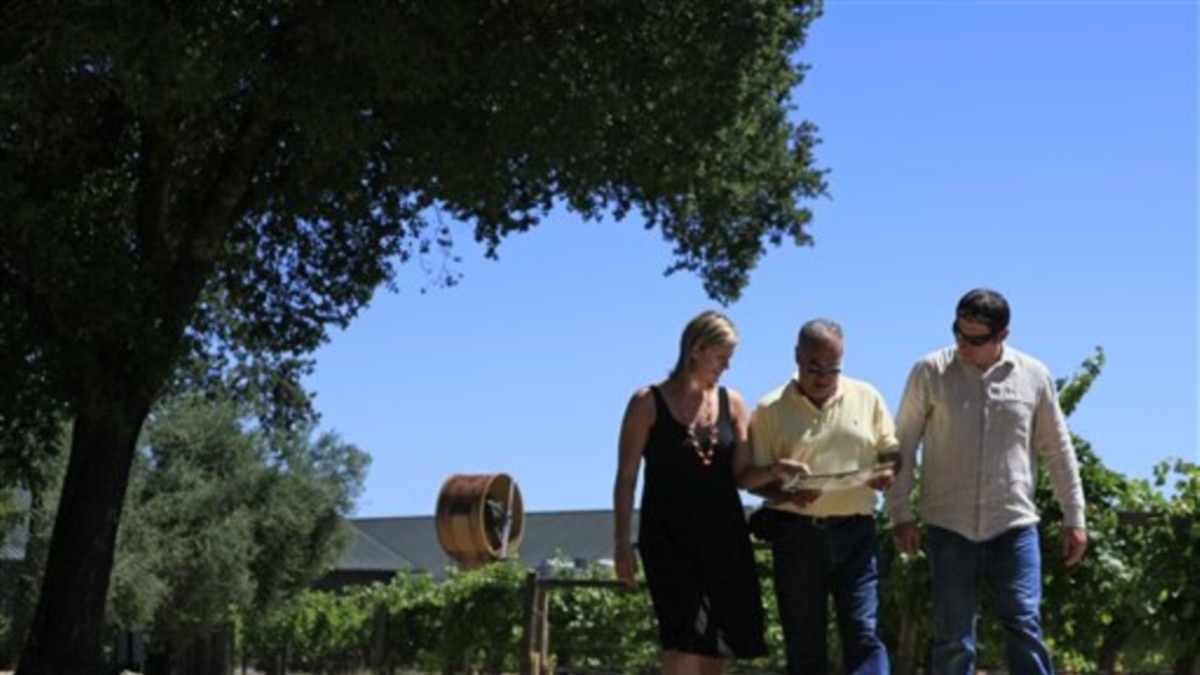 [웰컴 투 아메리카] 와인의 고장, Sonoma Valley