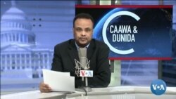 Caawa iyo Dunida