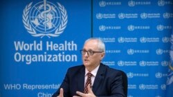 世界卫生组织驻中国的代表高登·加利亚（Gauden Galea）在北京接受美联社专访