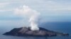 An aerial view of the Whakaari, also known as White Island volcano, in New Zealand, Nov. 30, 2020.