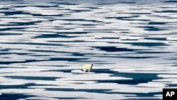 A polar bear stands on the ice in the Franklin Strait in the Canadian Arctic Archipelago, July 22, 2017. 