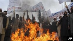 나토군의 공습을 비난하는 파키스탄 시위대