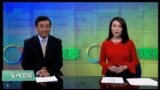 VOA卫视(2016年11月22日 美国观察)