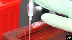 Vacina experimental contra a TB