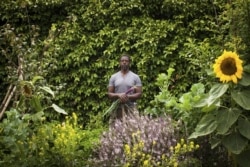 This photo provided by Stephen Zeigler shows Ron Finley in a garden in Los Angeles. Interest in gardening has grown around the country. And urban gardeners say it's particularly important for the health and resiliency of city neighborhoods. (Stephen Ziegler via AP)