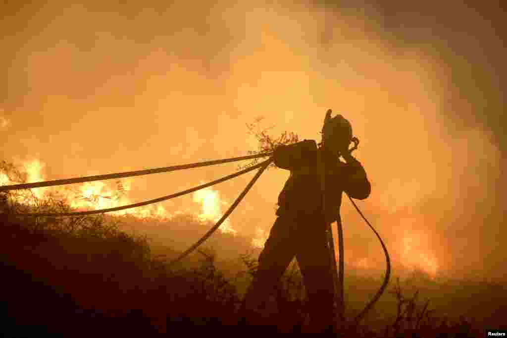 A firefighter is fighting a forest fire near the Basque town of Berango, near Bilbao, northern Spain.