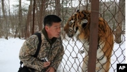 "Tiger Spirit" opens with Lim Sun Nam's quest to find tigers in the Korean mountains. Here, he nuzzles a tiger at a Siberian sanctuary. Photo credit: Joo Hyun Kwon (Storyline Entertainment).
