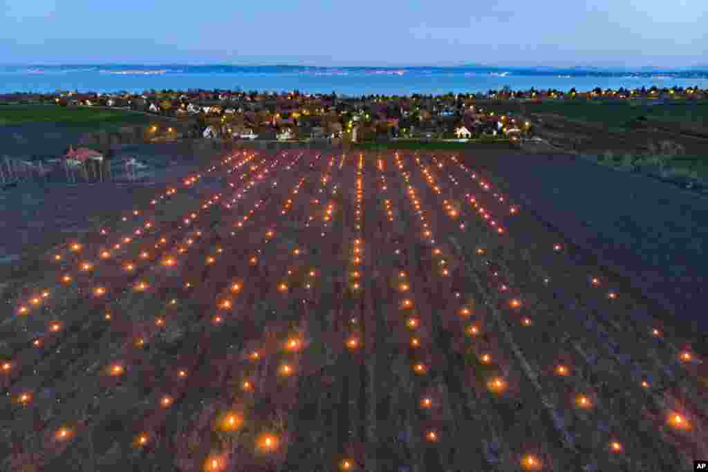 A picture taken with a drone shows anti-frost candles burn between apricot trees in a fruit orchard near Balatonvilagos, Hungary.