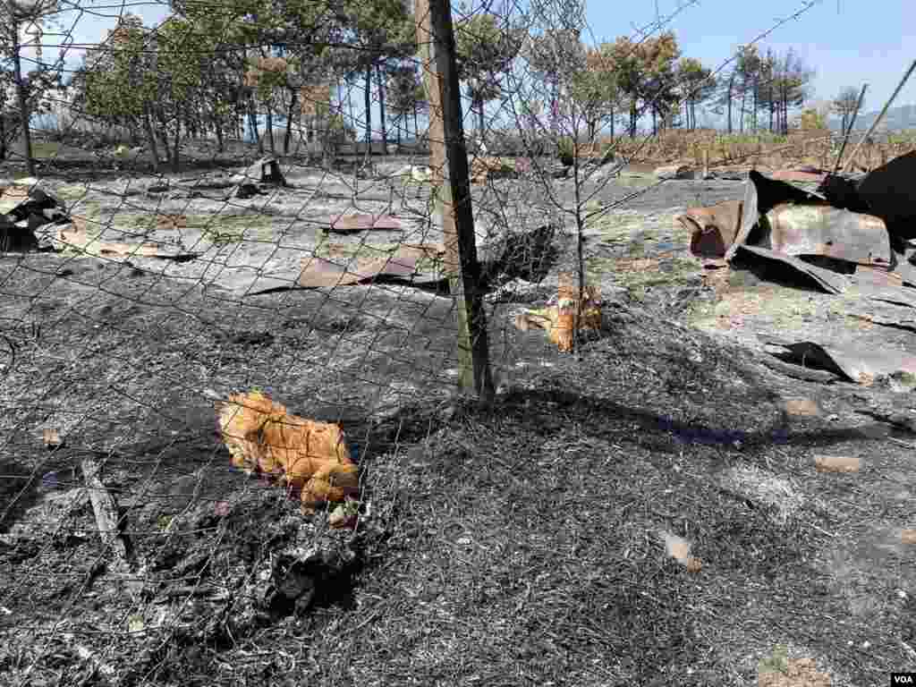 Кочани - ден после пожарот