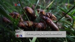 Kampung Amerika: Garengpung Nyerbu Amerika