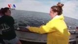 Teenage Girls Find Confidence in the Open Sea