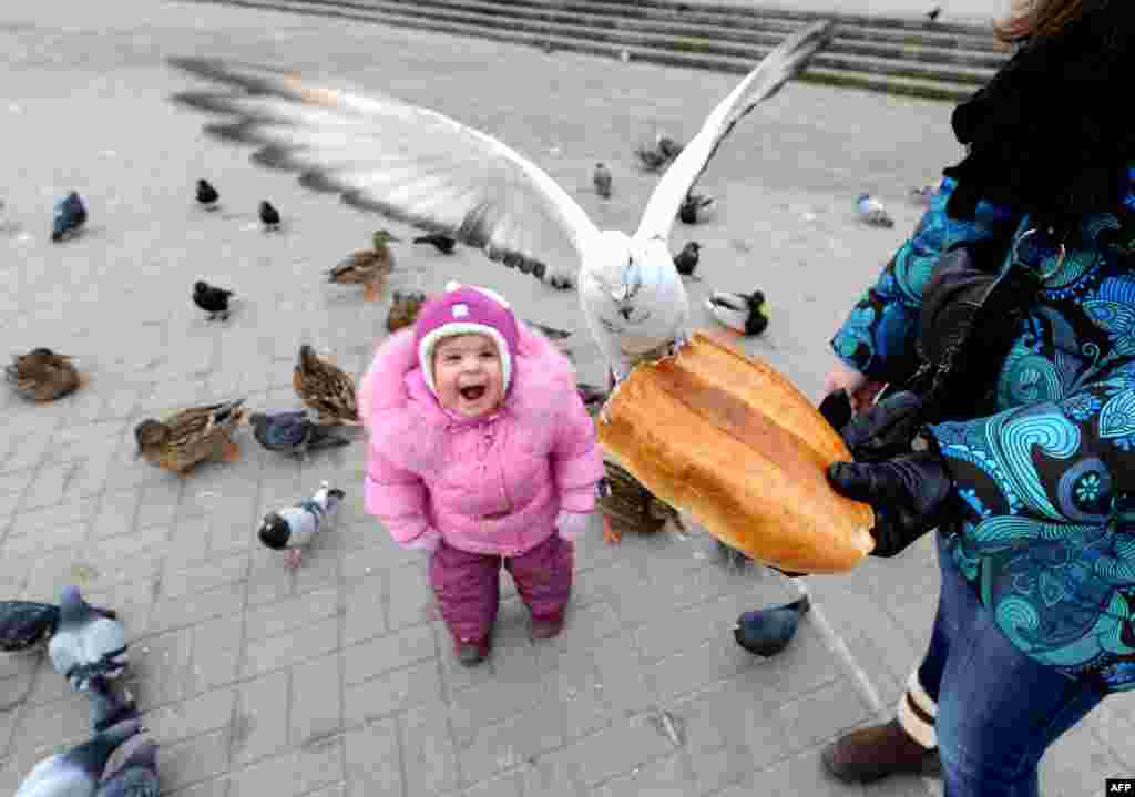 Hai mẹ con cho chim ăn ở thủ đô Minsk của Belarus.