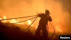 A firefighter gathers hoses while fighting a forest fire near the Basque town of Berango, near Bilbao, northern Spain, Dec. 28, 2015. 