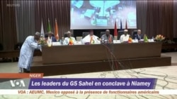 Sommet extraordinaire du G5 Sahel à Niamey