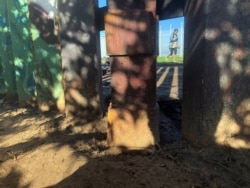 Smugglers allegedly cut an opening in part of a border wall, since repaired, a breach that the U.S. Border Patrol said led to the "unintentional destruction" of a cross-border garden this month in San Diego's Friendship Park, Jan. 25, 2020.