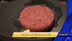 تلاش برای تولید گوشت در لابراتوار