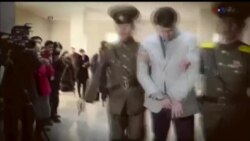 اخبار شامگاهی