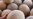 EE.UU.: 25 fallecidos por listeria