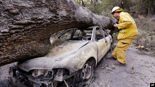 Un bombero revisa un carro quemado y aplastado por un árbol en Harbin Hot Springs, cerca de Middletown donde dos cadáveres fueron encontrados.