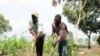 Help Falls Short for Haiti's Farmers