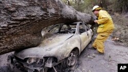 Un bombero revisa un carro quemado y aplastado por un árbol en Harbin Hot Springs, cerca de Middletown donde dos cadáveres fueron encontrados.