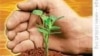 หน่วยงานคลังสมอง Chatham House ในลอนดอนหนุนพืชจีเอ็มโอโดยชี้ว่าจะช่วยสร้างความเข้มแข็งแก่การเกษตรกรรมในอาฟริกา