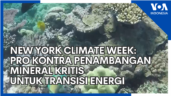 New York Climate Week: Pro Kontra Penambangan Mineral Kritis untuk Transisi Energi