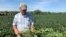 Farmer Randy Miller is shown with his soybeans, Thursday, Aug. 22, 2019, at his farm in Lacona, Iowa. Miller, who also farms corn, is among farmers unhappy with President Donald Trump over waivers granted to oil refineries that have sharply…