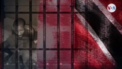 Serie especial "Exiliados en el Paraíso"