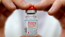 FDA全面批准莫德納新冠疫苗