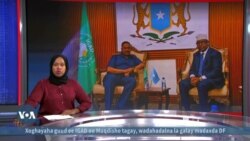 Wafdi ka socda IGAD oo yimid Muqdisho