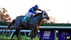 FILE - Jockey Luis Saez rides Essential Quality to win the Breeders' Cup Juvenile horse race at Keeneland Race Course in Lexington, Ky., Nov. 6, 2020.