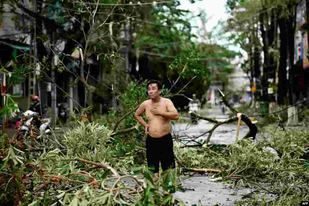 A man reacts while standing amidst uprooted trees in central Vietnam&#39;s Quang Ngai province, in the aftermath of Typhoon Molave.