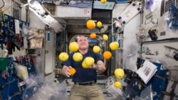 Quiz - Study: Long Periods in Space Can Shrink the Heart