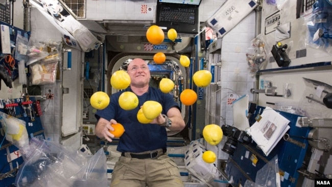 Scott Kelly with lemons in space. Researchers studied how diet affected his microbiome as part of NASA's Twins Study.