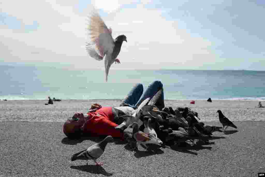 A man is lying with pigeons on the &#39;Promenade des anglais&#39; on the French riviera&#39;s city of Nice.