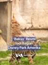 'Bakso' Resmi Jadi Bagian Disney Park Amerika