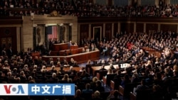 美国之音中文广播 (2026年4月29日)