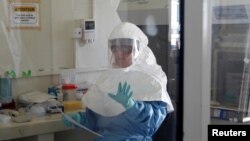 A laboratory specialist examines specimens of the Ebola virus at the Uganda virus research centre in Entebbe, 40km (25 miles) south from capital Kampala, May 17, 2011. 