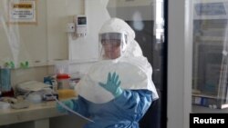 A laboratory specialist examines specimens of the Ebola virus at the Uganda virus research center in Entebbe, 40km south of the capital Kampala, May 17, 2011. 