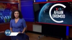 Tamsaasa Guyaadhaa Guyyaa