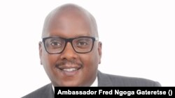  Ambasaderi Fred Ngoga Gateretse, Umuhanuzi mukuru wa Commissaire ajejwe ibibazo vy'amahoro, umutekano na politike  mw'ishirahamwe ry'ubumwe bwa Afrika. 